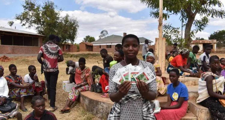 seeds distribution, yicod